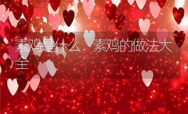 素鸡是什么 素鸡的做法大全 | 养殖资料投稿