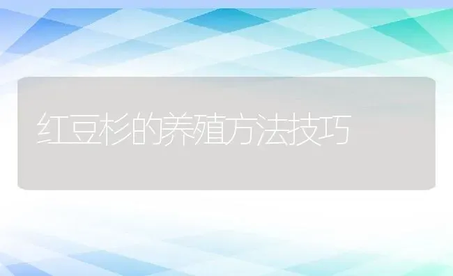 红豆杉的养殖方法技巧 | 养殖资料投稿