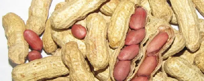 花生的经济价值有哪些？