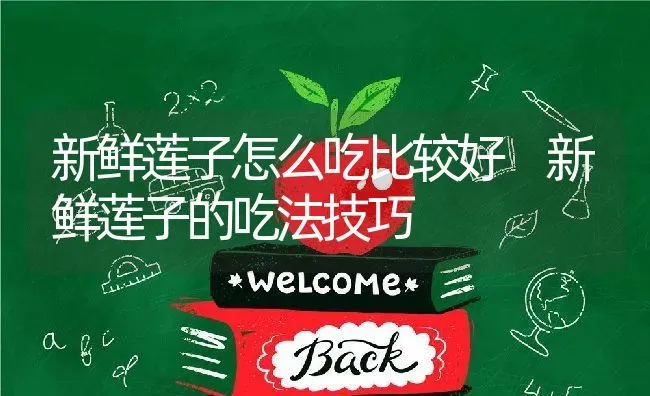 新鲜莲子怎么吃比较好 新鲜莲子的吃法技巧 | 养殖资料投稿