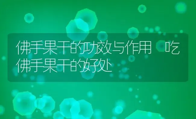 佛手果干的功效与作用 吃佛手果干的好处 | 养殖资料投稿