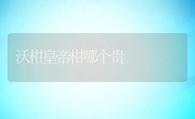 沃柑皇帝柑哪个贵 | 养殖资讯