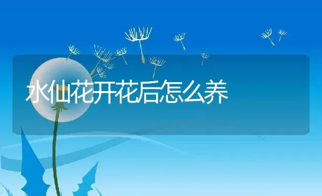 水仙花开花后怎么养 | 养殖资料投稿