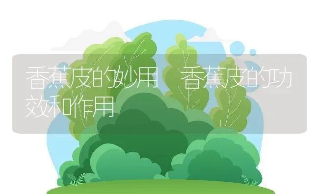 香蕉皮的妙用 香蕉皮的功效和作用 | 养殖资料投稿
