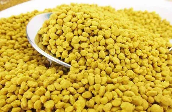 油菜花粉治疗前列腺炎效果与功效分析
