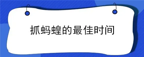 抓蚂蝗的最佳时间