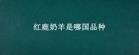 红鹿奶羊是哪国品种