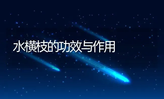 水横枝的功效与作用 | 养殖资料投稿