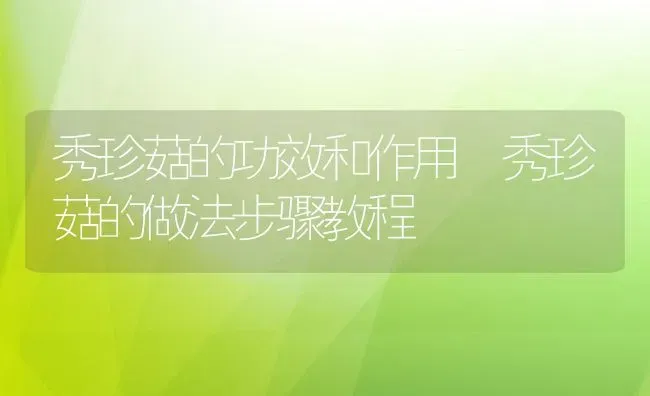 秀珍菇的功效和作用 秀珍菇的做法步骤教程 | 养殖资料投稿