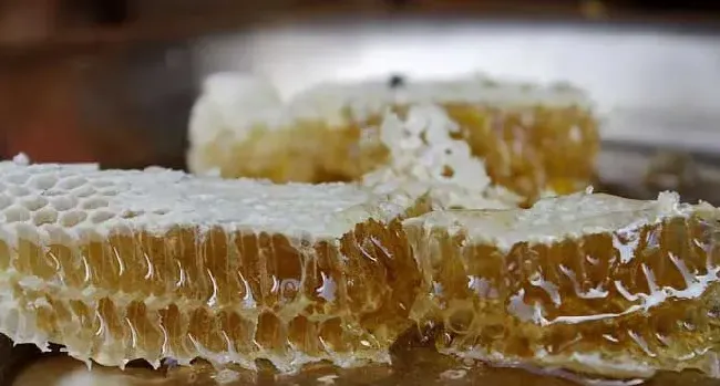 蜂蜜的作用与功效及禁忌人群
