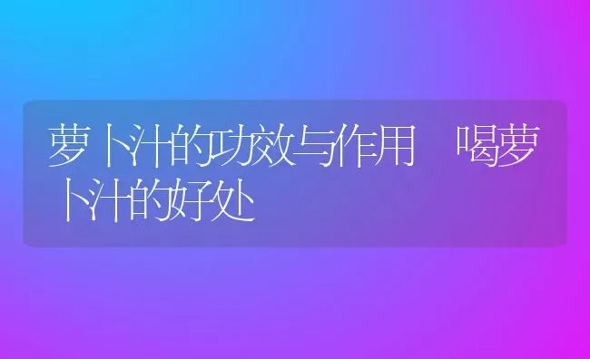 萝卜汁的功效与作用 喝萝卜汁的好处 | 养殖资料投稿