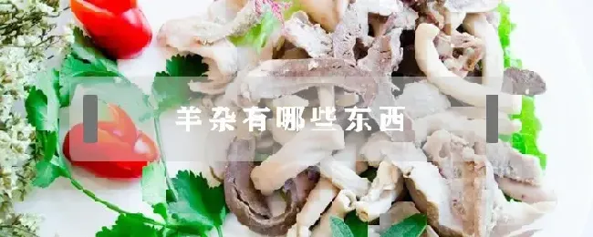 羊杂有哪些东西