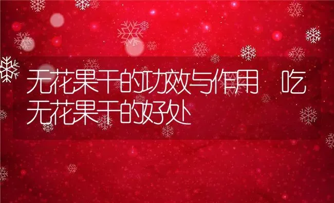 无花果干的功效与作用 吃无花果干的好处 | 养殖资料投稿