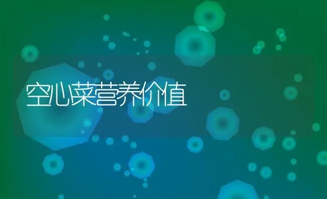 空心菜营养价值 | 养殖资料投稿