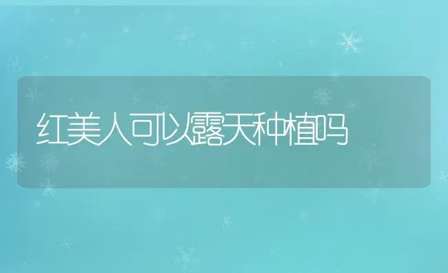 红美人可以露天种植吗 | 养殖资讯