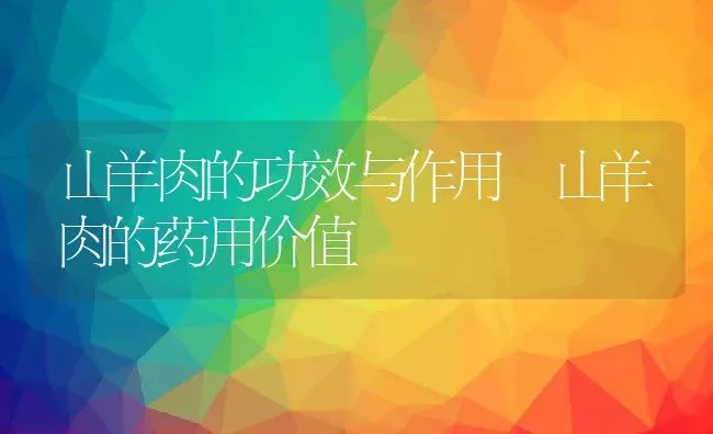 山羊肉的功效与作用 山羊肉的药用价值 | 养殖资料投稿