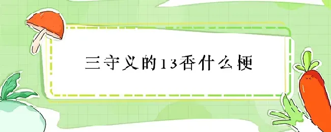 王守义的13香什么梗