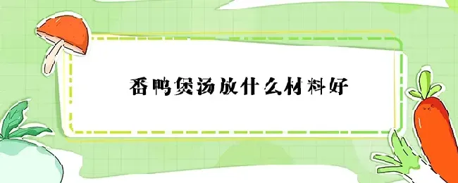 番鸭煲汤放什么材料好