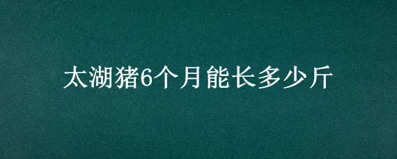 太湖猪6个月能长多少斤