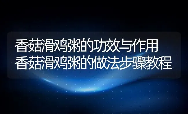 香菇滑鸡粥的功效与作用 香菇滑鸡粥的做法步骤教程 | 养殖资讯