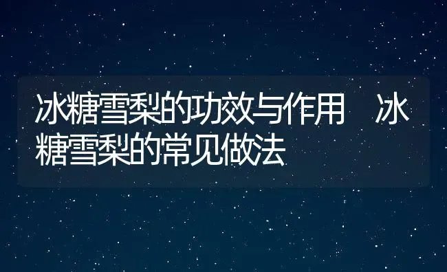 冰糖雪梨的功效与作用 冰糖雪梨的常见做法 | 养殖资料投稿