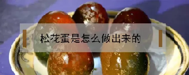 松花蛋是怎么做出来的