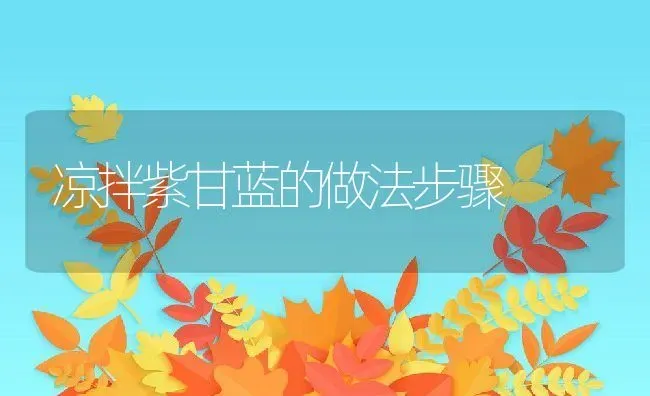 凉拌紫甘蓝的做法步骤 | 养殖资料投稿