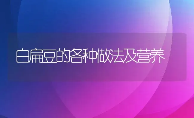 白扁豆的各种做法及营养 | 养殖资料投稿