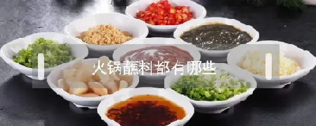 火锅蘸料都有哪些