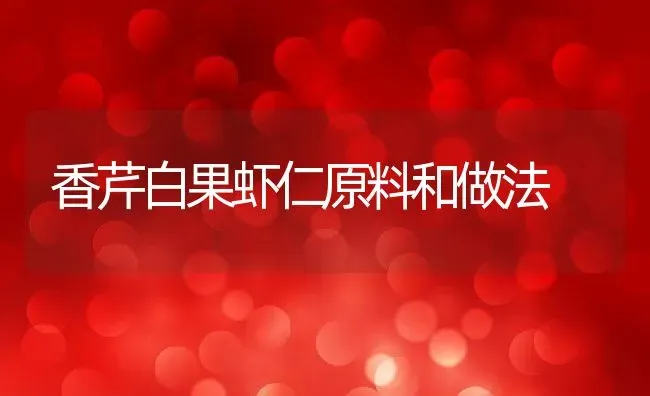 香芹白果虾仁原料和做法 | 养殖资料投稿
