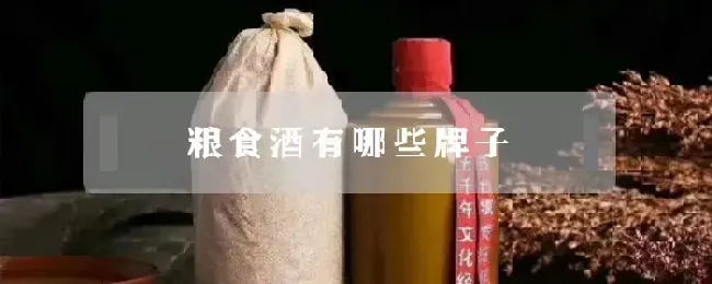 粮食酒有哪些牌子