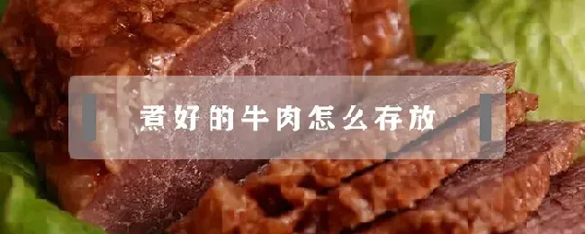 煮好的牛肉怎么存放