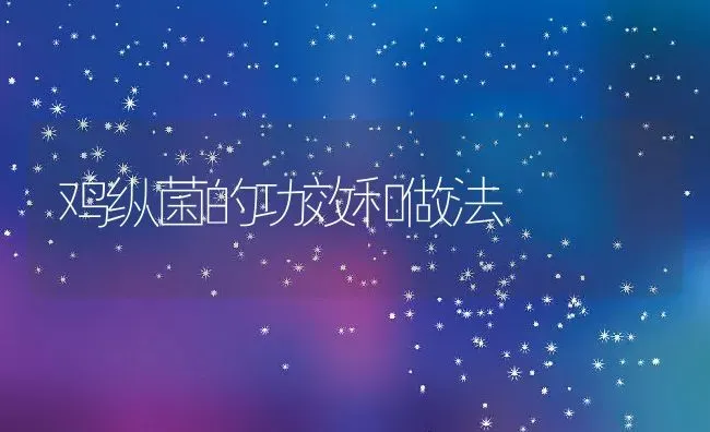 鸡纵菌的功效和做法 | 养殖资料投稿