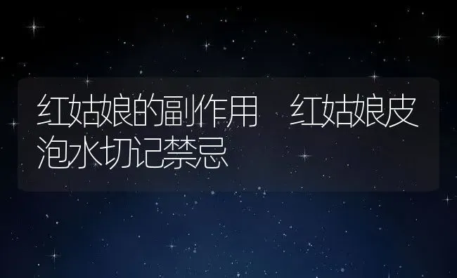 红姑娘的副作用 红姑娘皮泡水切记禁忌 | 养殖资料投稿