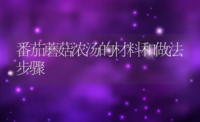 番茄蘑菇浓汤的材料和做法步骤 | 养殖资料投稿