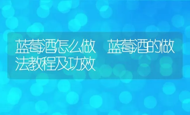 蓝莓酒怎么做 蓝莓酒的做法教程及功效 | 养殖资料投稿