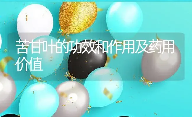 苦甘叶的功效和作用及药用价值 | 养殖资料投稿