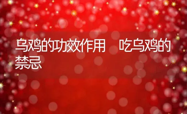 乌鸡的功效作用 吃乌鸡的禁忌 | 养殖资料投稿