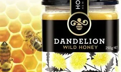 蒲公英蜜好吗 蒲公英蜜孕妇可以喝吗