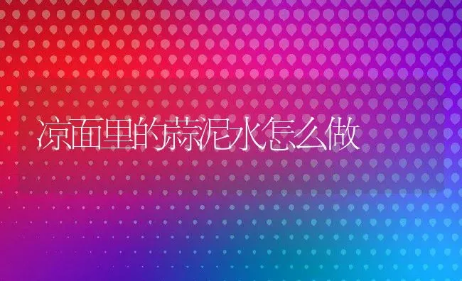 凉面里的蒜泥水怎么做 | 养殖资料投稿