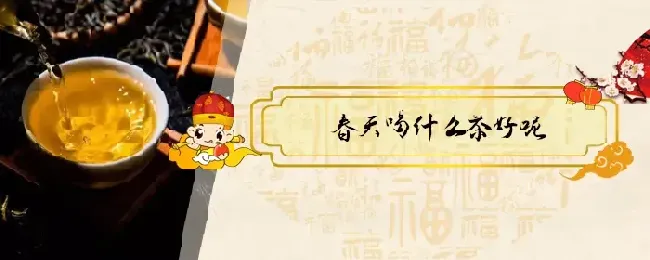 春天喝什么茶好呢