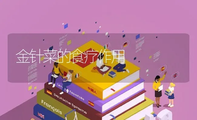 金针菜的食疗作用 | 养殖资料投稿