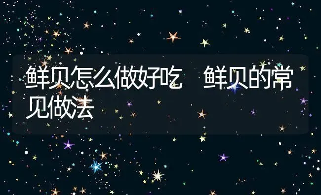 鲜贝怎么做好吃 鲜贝的常见做法 | 养殖资料投稿