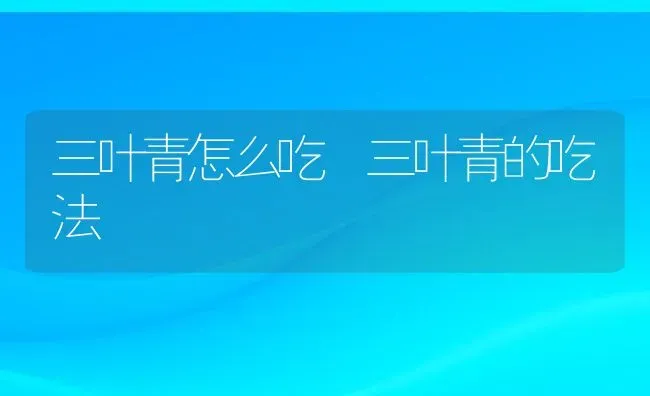 三叶青怎么吃 三叶青的吃法 | 养殖资料投稿