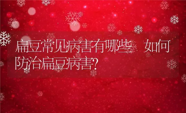 扁豆常见病害有哪些 如何防治扁豆病害？ | 养殖资料投稿