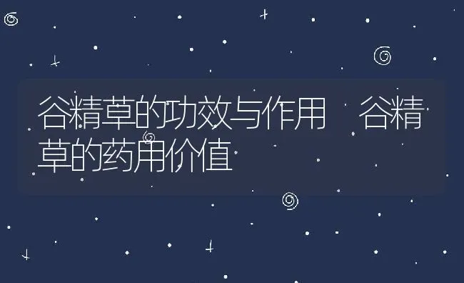 谷精草的功效与作用 谷精草的药用价值 | 养殖资料投稿