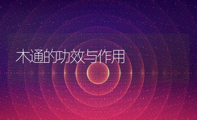 木通的功效与作用 | 养殖资料投稿