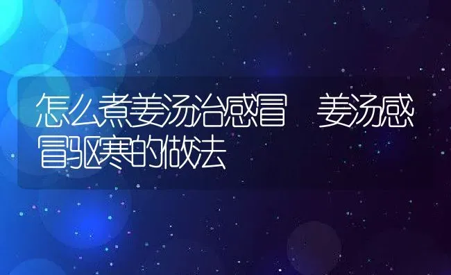 怎么煮姜汤治感冒 姜汤感冒驱寒的做法 | 养殖资料投稿