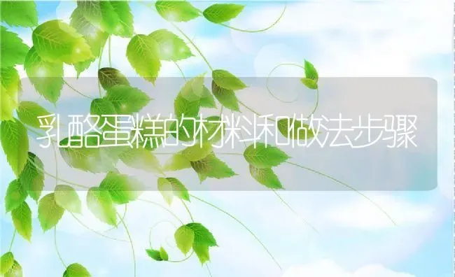 乳酪蛋糕的材料和做法步骤 | 养殖资料投稿