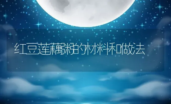 红豆莲藕粥的材料和做法 | 养殖资讯
